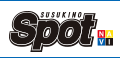 SpotNAVI