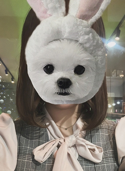 キャスト